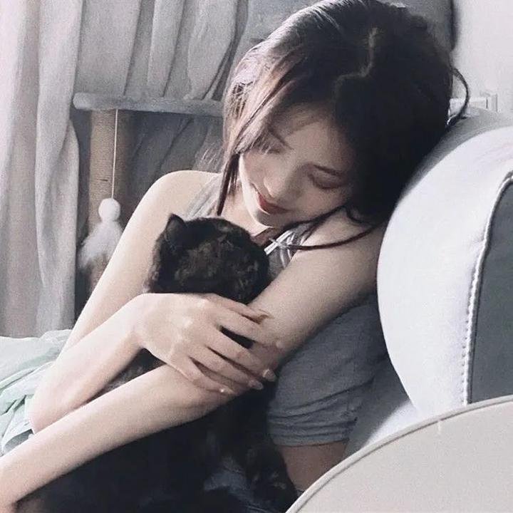 攻壳机动队SAC2ndGIG:个别的十一人粤语